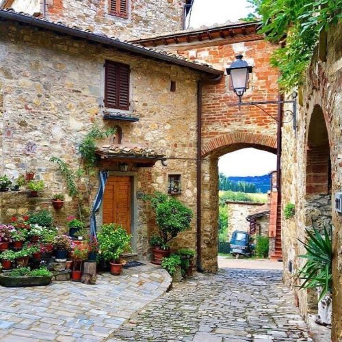 87988193_1339580709586091_5637128637376364544_n (1)